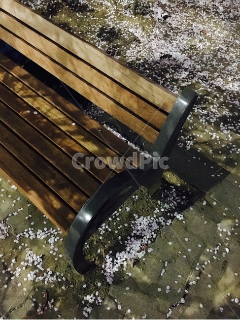 벤치,공원벤치,벚꽃,의자,bench,가구