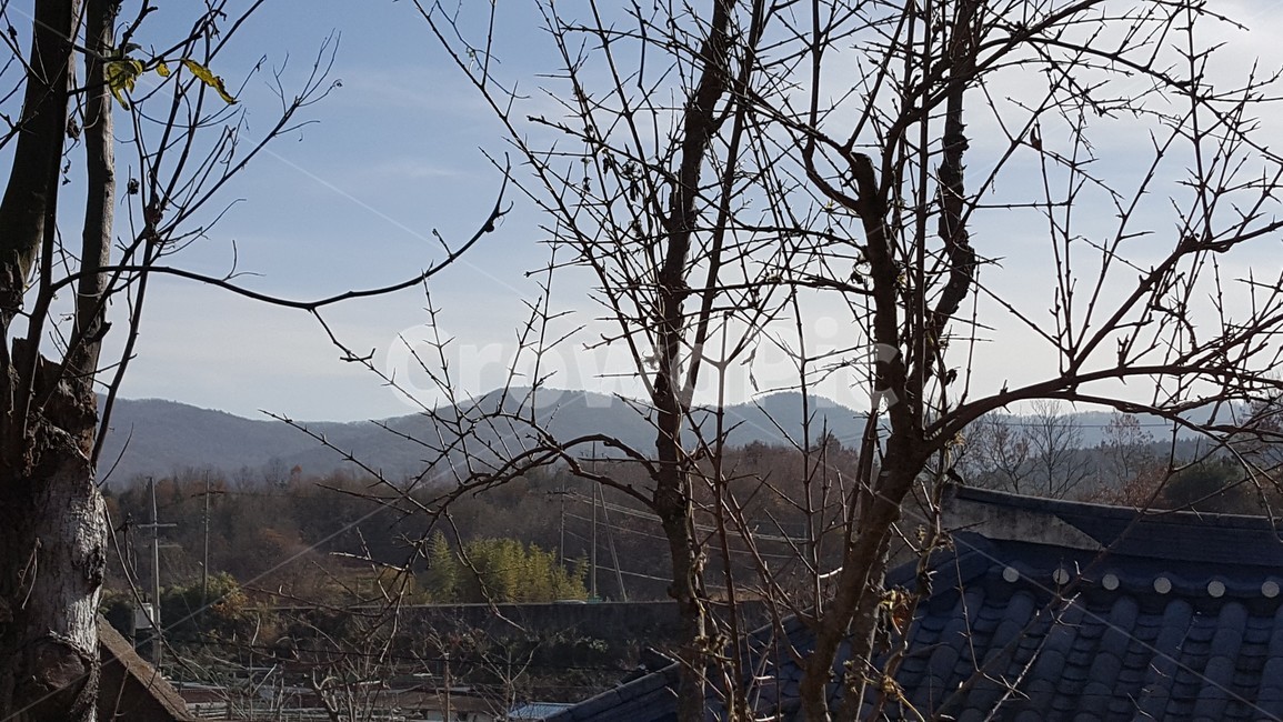 자연,풍경,추억,시골,겨울,자연,풍경,nature,landscape