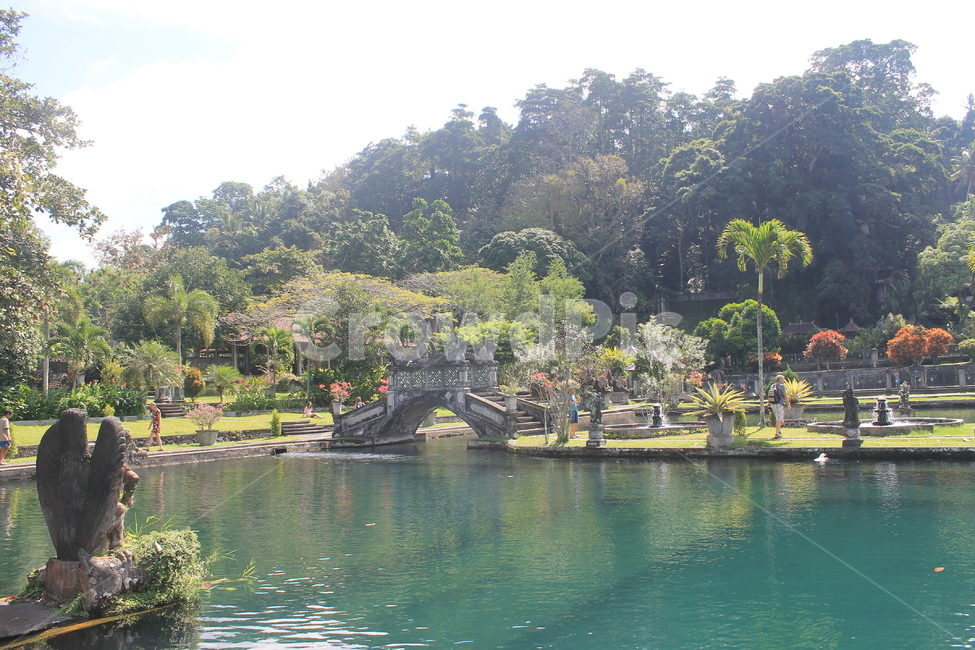 인도네시아,발리,공원,티르타강가,자연,indonesia,bali,park,garden,tirta,gangga,nature,정원,water,물,pond,연못