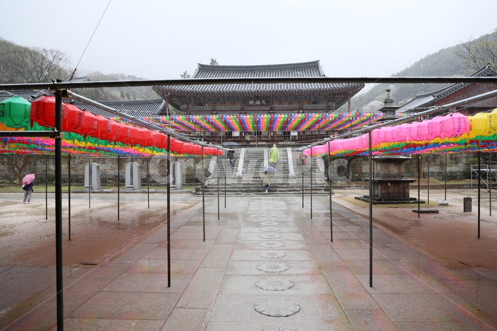 구례,화엄사,사찰,전통가옥,절,한국전통,한국문화,korean traditional,korean culture,종교,신앙,religion,belief,faith,비,비오는날,rain,rainy