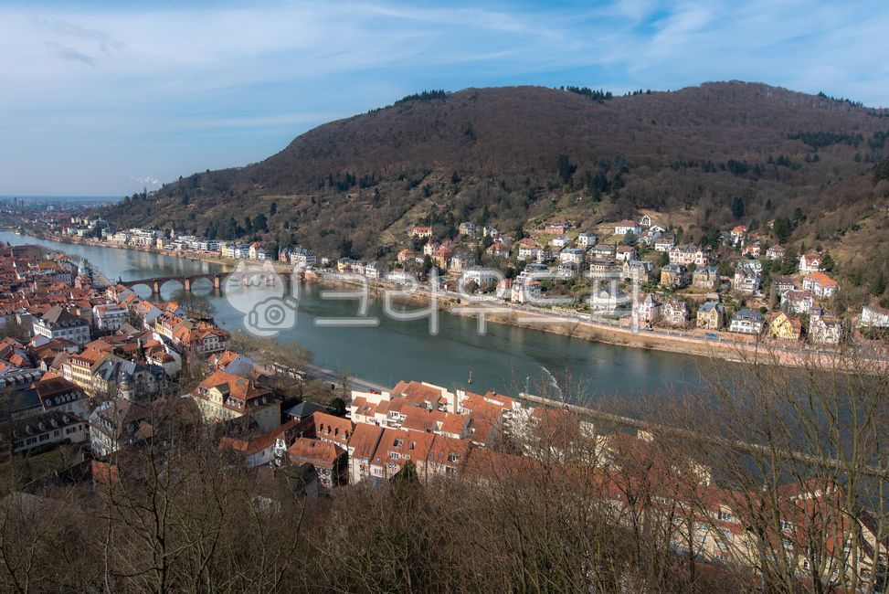 유럽,europe,독일,germany,하이델베르그,heidelberg,중세도시,medievalcity,도시풍경,cityscape,빌딩,building,건축물,architecture,자연,nature,강,river,자연경관,naturallandscape,집,houses,교육도시,educationcity