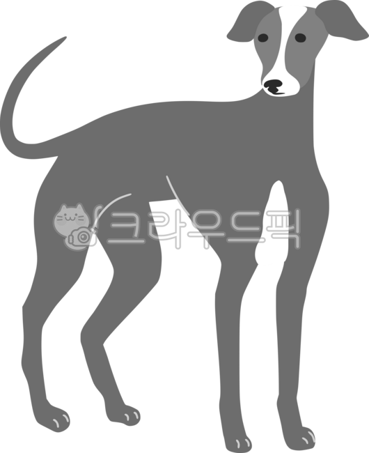 반려견,강아지의날,강아지,개,그레이하운드,반려동물,강아지손그림,개손그림,동물,멍멍이,국제강아지의날,유기견