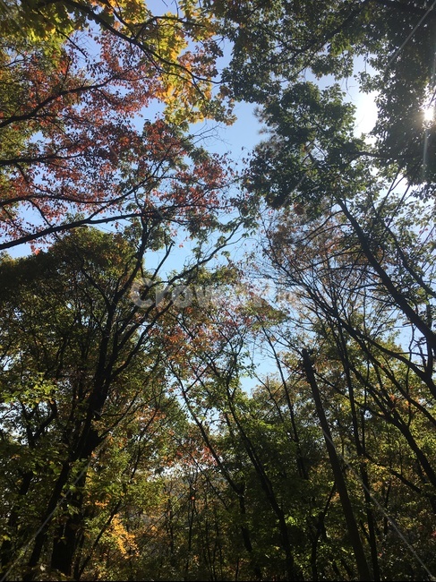 북한산,화창한날씨,가을산,가을,북한산하늘,자연,풍경,nature,landscape,tree,나무,plant,식물,light,빛,flare,플레어