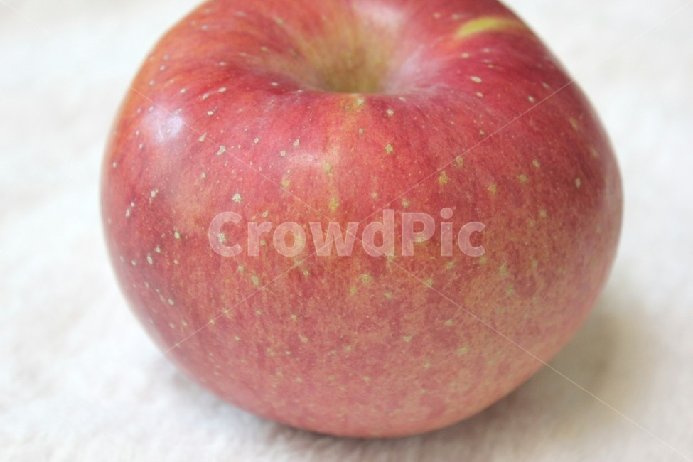 food,음식,과일,apple,사과,붉은색,fruit,과일,열매,fruit