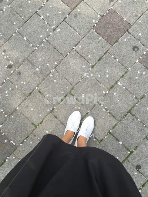 봄,벚꽃,신발,패턴,블럭,보도블럭,감성,스냅,여자,사람,발,봄,계절,spring,season,사람,인물,인간,human,person,신체일부,몸,body,패션스타일,의상,fashion,style