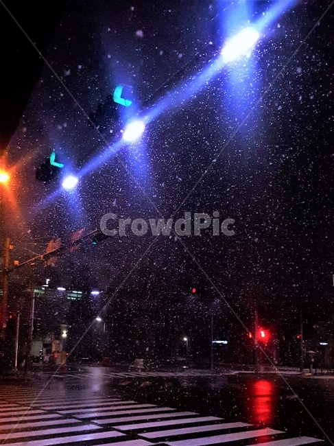 눈,설경,풍경,자연,신호등,횡단보도,야경,밤풍경,월곶역,역사,가로등,빛,snow,snowing,city,light,야경,밤,풍경,nightscape,night,landscape,도시,city,교통,교통수단,traffic,transportation,lighting,조명,flare,플레어
