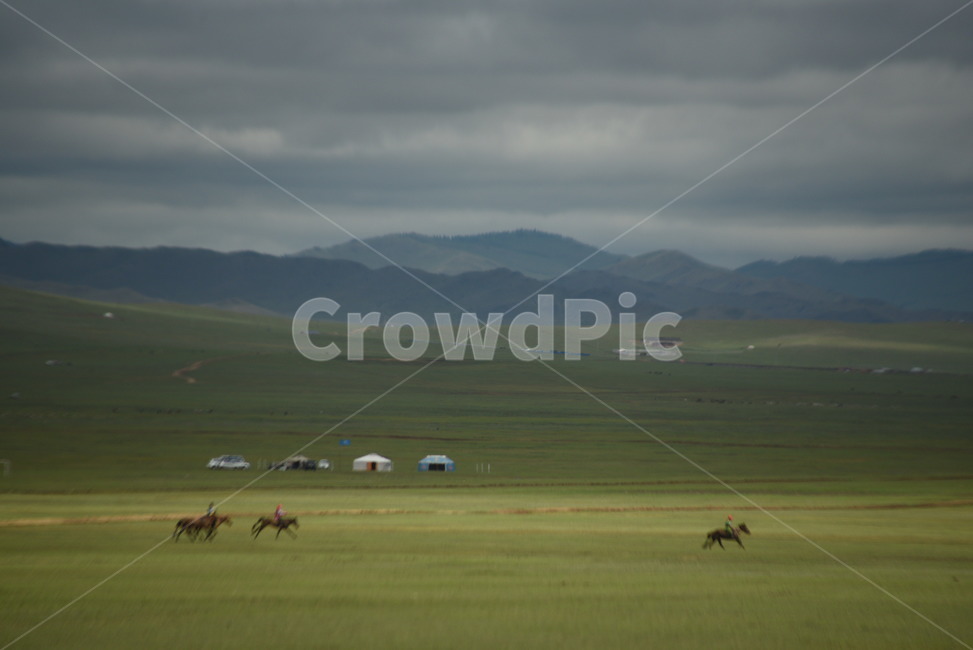 몽골,평야,초원,유목민,유목,자연,풍경,nature,landscape,해외,외국,세계,foreign,oversea,world,세계자연풍경,해외자연풍경,외국자연풍경,world nature landscape,outdoors,옥외,field,들,grassland,목초지
