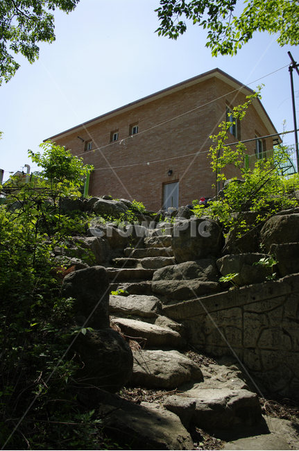 돌계단,하늘,집,벽돌,나무,식물,건축물,건물외관,exterior,building,structure,architecture,construction
