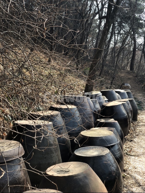 시골,가을,설날,추석,김치,산,장독대,여유,자연,한국전통,한국문화,korean traditional,korean culture