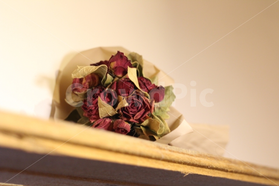 꽃,장미꽃,꽃다발,드라이플라워,flower,canon,100d,dslr,인테리어,감성,스냅,식물,자연,plants,nature,꽃,flower,기념일,축하,anniversary,congratulation,celebrate,celebration