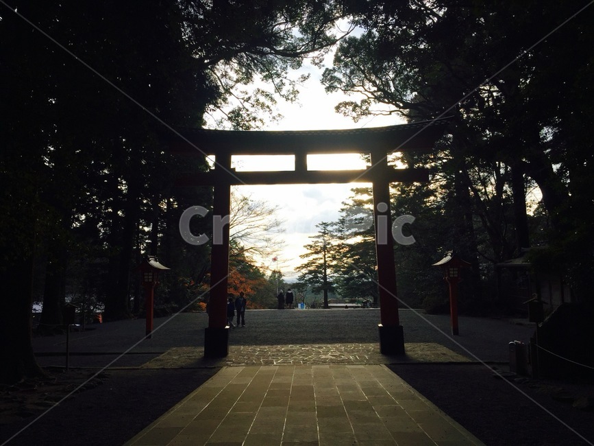 japan,일본,신사,temple,절,풍경,자연,나무,문,입구