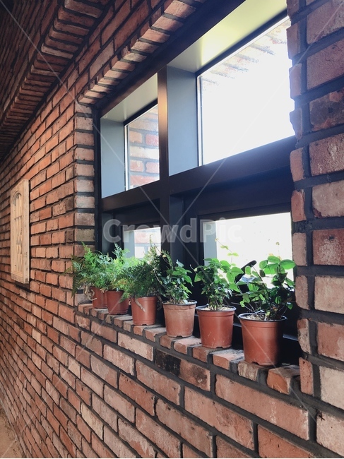 화분,창문,배경화면,인테리어,식물