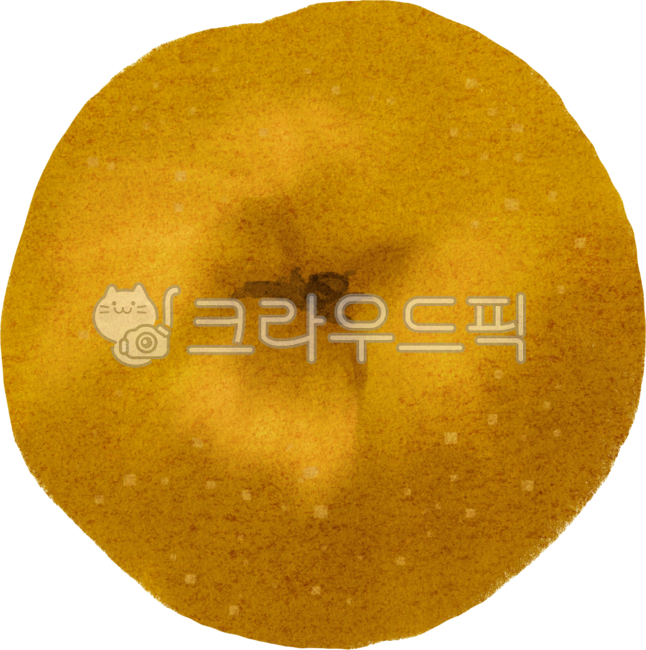 Pear,Hand-drawn Pear,Fruit,Autumn Fruit,Berry,Autumn Berry,Kimchi Ingredients,Kimjang Ingredients,Kimjang Preparation,Chuseok Fruit