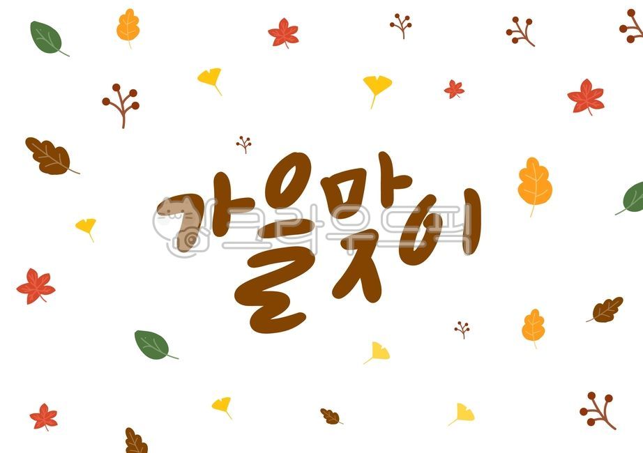 가을,캘리그라피,손글씨,일러스트,가을일러스트,단풍,나뭇잎,캘리,계절,은행잎,일러스트레이션,자연