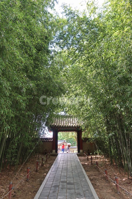 전주,한옥마을,경기전,푸름,초록색,정원,사람,인간