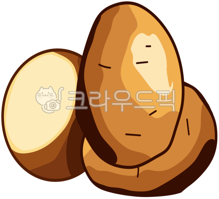 감자,채소,신선한농산물,유기농식품,농장신선,뿌리채소,자연식품,건강식사,수확,농업,채식,작물,농사