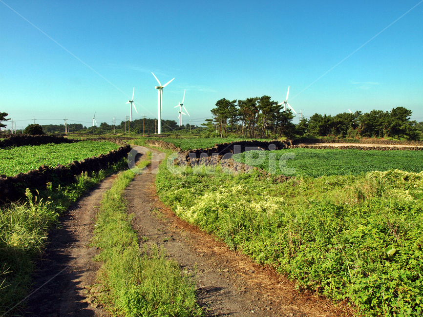 wind generator,Olle,road,Jeju,nature,road name,stonewall,Olle Course 20,farm road