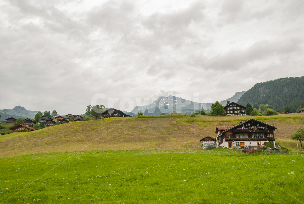 스위스,산악마을,목조주택,산악,집,field,들,grassland,초원