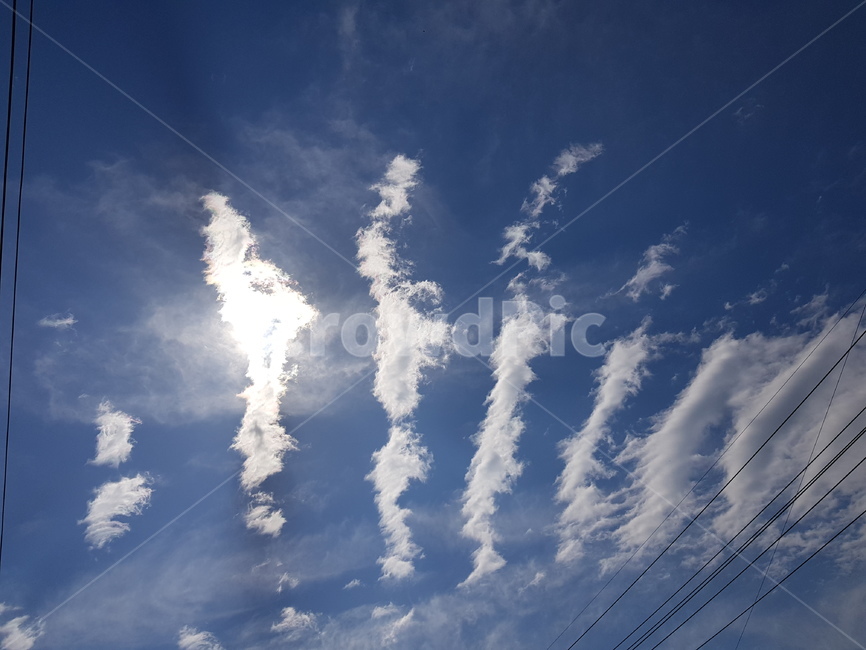 구름,하늘,갈비구름,파란하늘,특이한구름,지진운,갈빗대구름,cloud,sky,bluesky,초여름구름,풍경