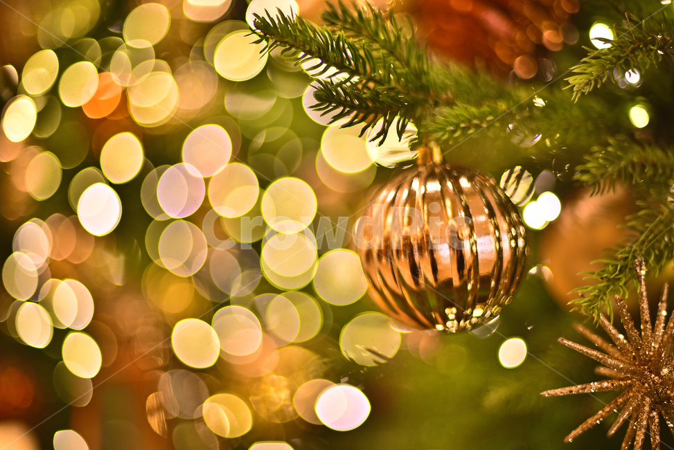 크리스마스,성탄트리,년말장식,성탄절,christmas,xmas,decoration,tree,ball,성탄볼,보케,빛망울,화려한,칼라풀,조명,불빛,라이트,색감,colorful,light,bokeh,배경,바탕,백그라운드,background,나무,장식,christmastree,크리스마스트리,plant,식물,메리크리스마스,성탄절,merry christmas