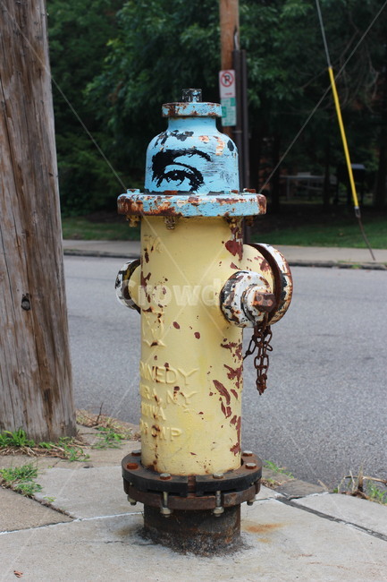 미국,소화전,미국소화전,화재,america,hydrant,waterpump,fire,사물,물건,오브젝트,thing,object,matter