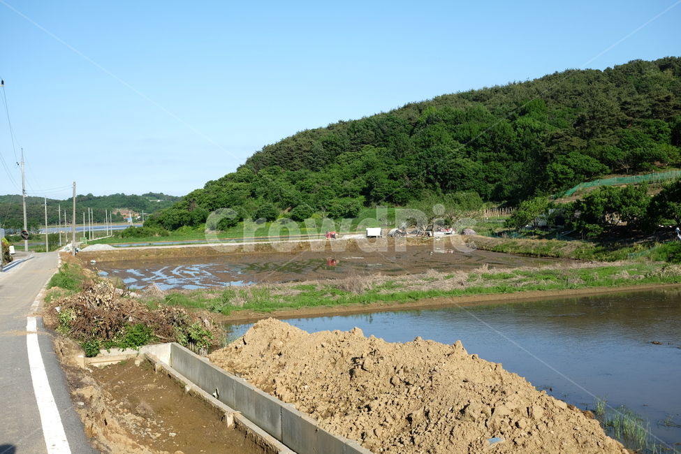 시골,지방,농촌,논두렁,밭,시골길,자연,nature