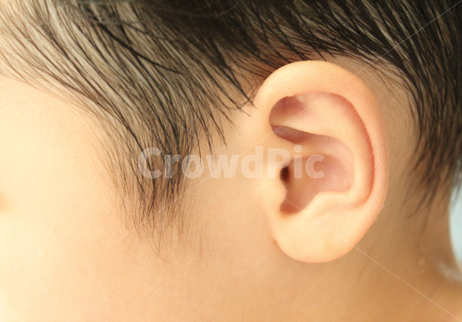 사람,어린이,아이,아동,신체,얼굴,귀,귓바퀴,옆모습,남자아이,동양인,남자,구렛나루,인물,신체부위,사람,인물,인간,human,person,신체일부,몸,body,어린이,어린아이,child,children,kid