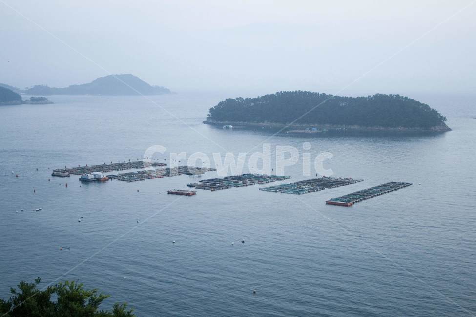 바다,바다양식,섬,sea,island,seafarming