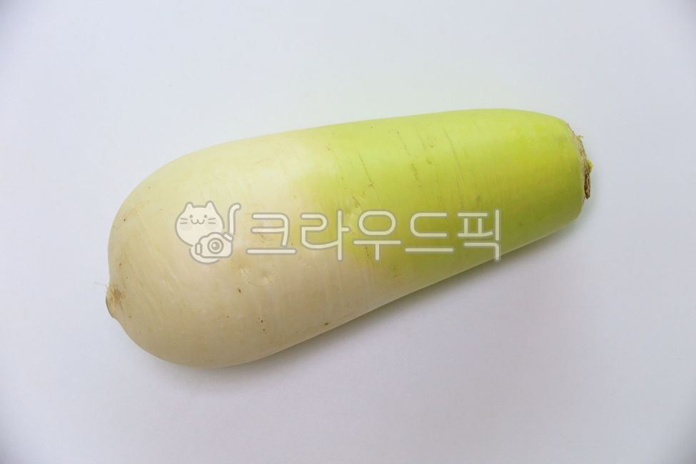 무,무우,김치재료,한개,수확,야채,날것의,raw,식재료,음식재료,채소,하나,하얀배경,radish,vegetable,food,신선한,유기농,친환경,농산물,뿌리채소,생무우,양념재료,김장재료,식용,재료