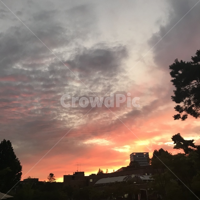 sky,하늘,dawn,sunset,황혼,redsky,붉은하늘,sunlight,햇빛,자연,풍경,nature,landscape,outdoors,옥외,dusk,일몰,새벽,red sky,붉은 하늘