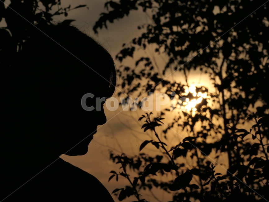 실루엣,그림자,사람,얼굴,풀,인물실루엣,사람실루엣,character silhouette,human silhouette