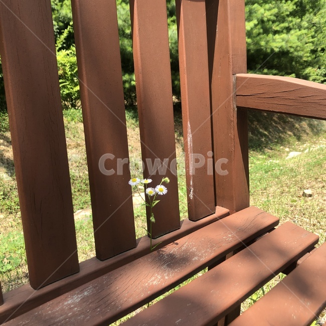 햇살,벤치,자연,자연친화적,감성사진,감성