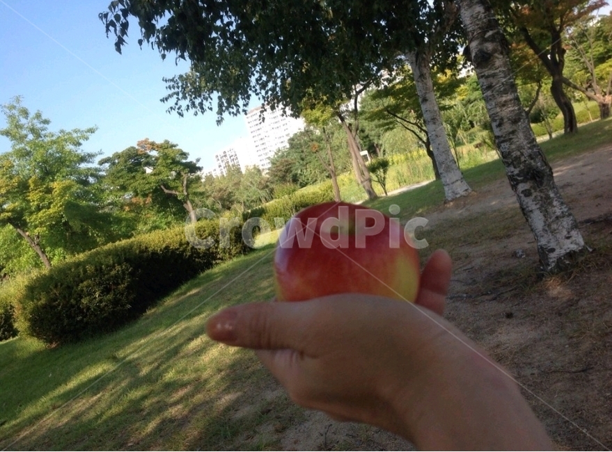 자연,풍경,여유,사람,인물,사람,인물,인간,human,person,신체일부,몸,body,과일,열매,fruit