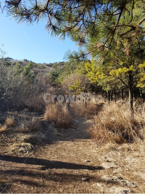 산,자연,나무,mountain,tree,nature,등산로,오솔길,trail,outdoors