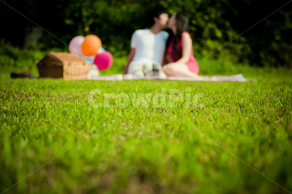 데이트,커플,잔디,사람,식물,plant,grass,human,person,연인,커플,사랑,lover,couple