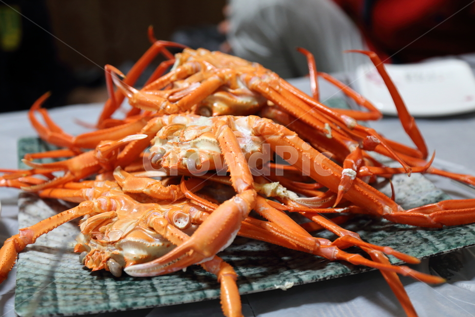 홍게,대게,갑각류,영덕대게,붉은게,울진대게,crab,redcrap,음식,식재료,요리,food,cook,meal,dishes,food reserves,수산물,해산물,fishery products,seafood
