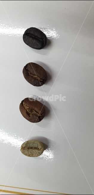 원두,볶은원두,약배전,강배전,로스팅,커피,커피콩,카페,coffee,클로즈업,사람없음,씨,갈색,향기,카페인