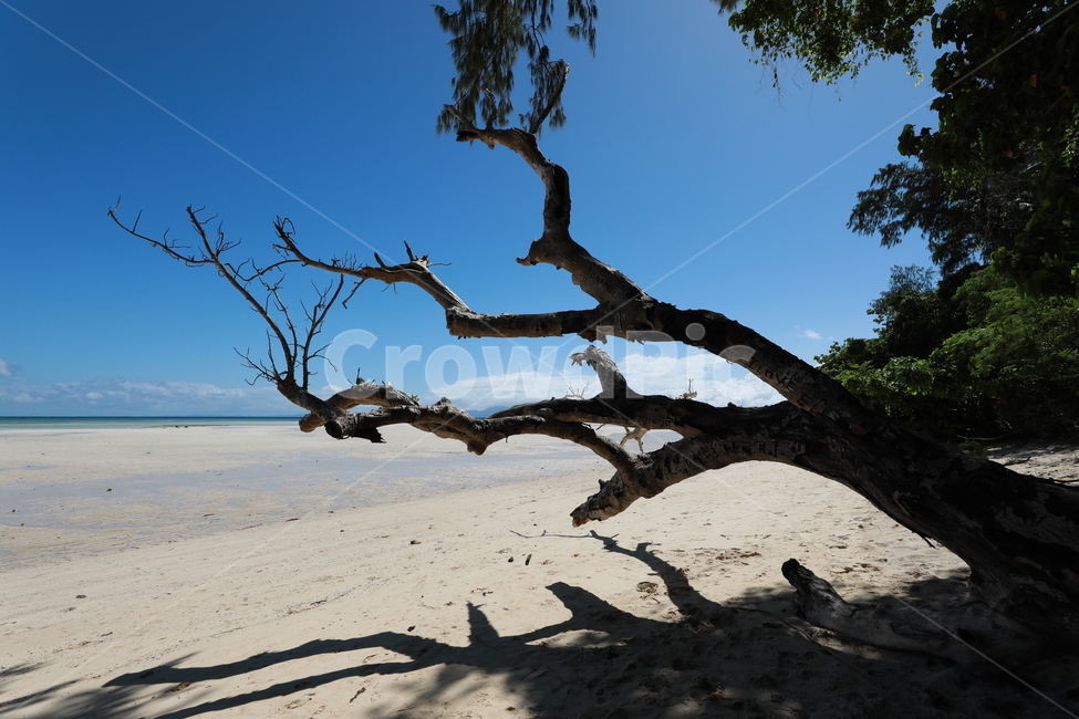 열대바다,샌드바,휴가,휴식,동남아시아,해변,바다,beach,sea,식물,자연,plants,nature,나무,trees,wood