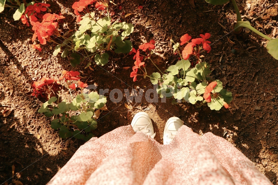 봄,꽃,풀,항공샷,정원,꽃,flower,사람,인물,인간,human,person,신체일부,몸,body,여성,여자,woman,female,lady
