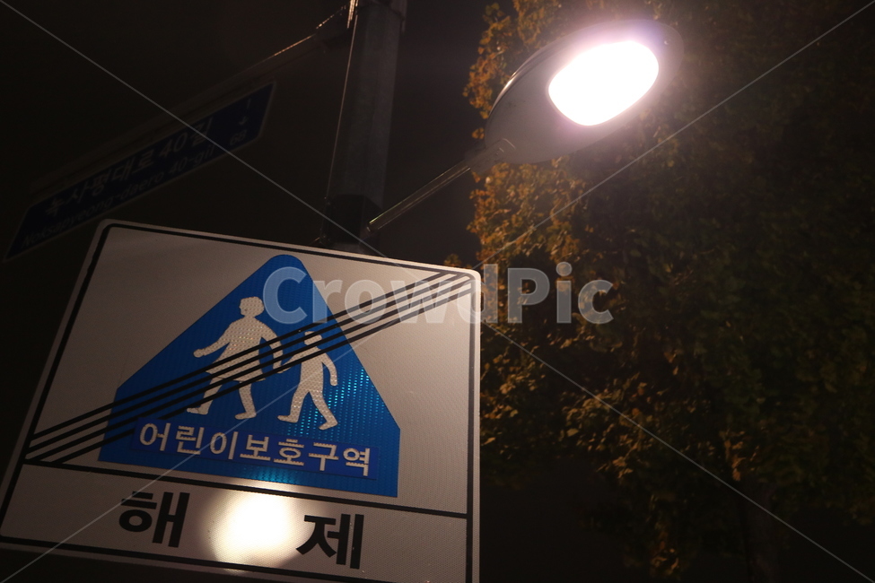 표지판,야경,어린이보호구역,가로등,밤,밤거리,서울