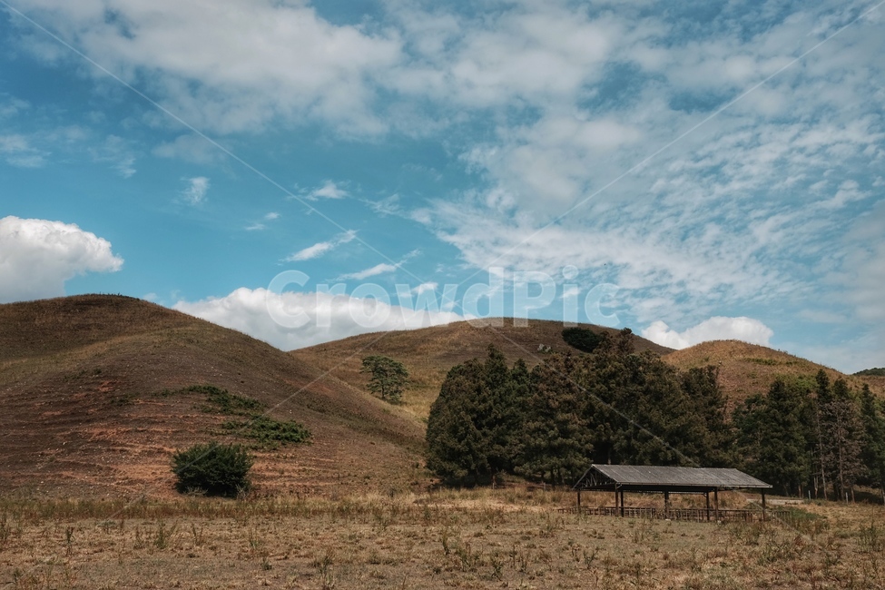 목장,풍경,하늘,산,구름,자연,풍경,nature,landscape,outdoors,옥외,grassland,목초지,field,들