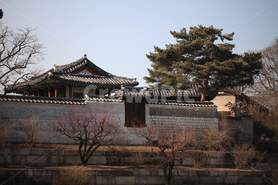 architecture,건축물,한국랜드마크,창경궁,건물,겨울,한국전통가옥