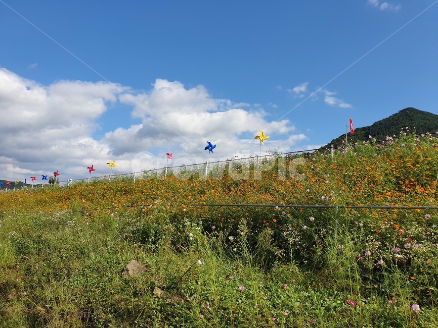 자연,가을하늘,들판,가을풍경,예쁜가을,자연,풍경,nature,landscape
