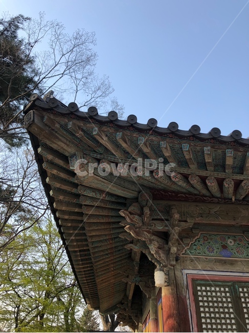 경주,한옥,불국사,기와,봄,가을,나무