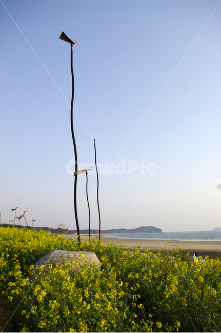 솟대,하늘,유채꽃,식물,꽃,자연,풍경,nature,landscape,outdoors,옥외,grassland,목초지,field,들,meadow,farm,농장,rural,농촌