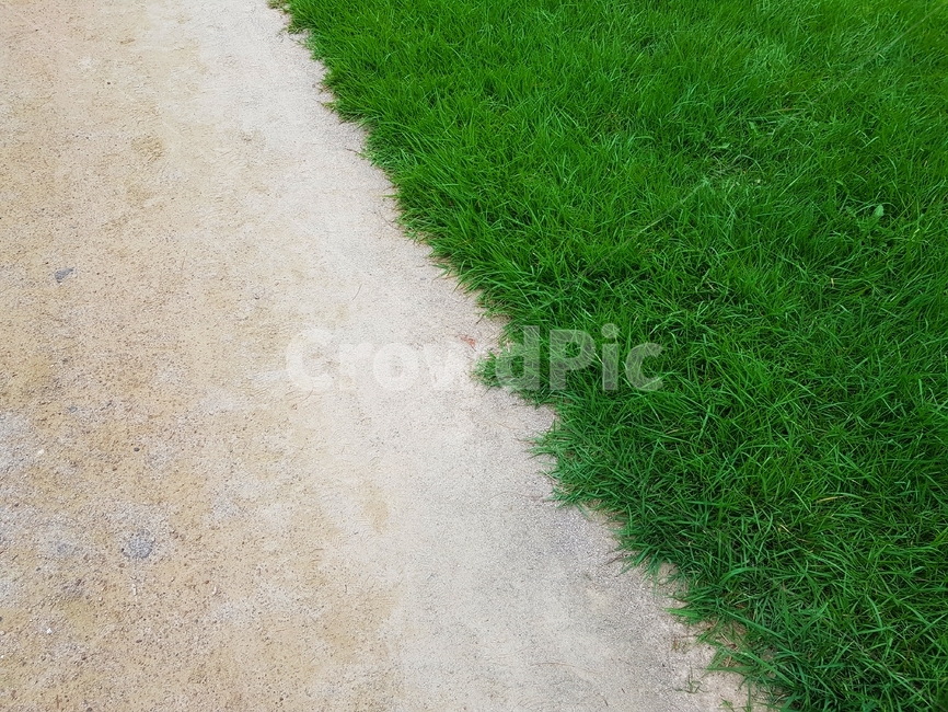 식물,가을,잔디,흙길,도로,road,식물,자연,plants,nature