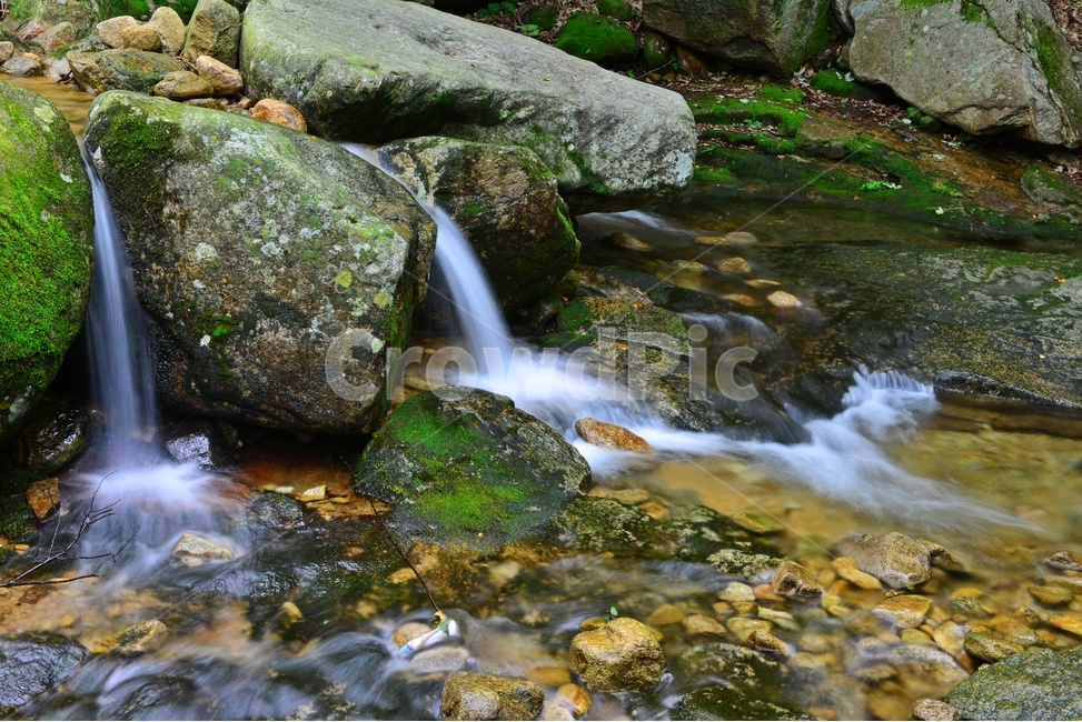 water,물,river,강,nature,자연,outdoors,옥외,waterfall,곡성,도림사,계곡,폭포,몰흐름,이끼,도림사계곡,도림사여름