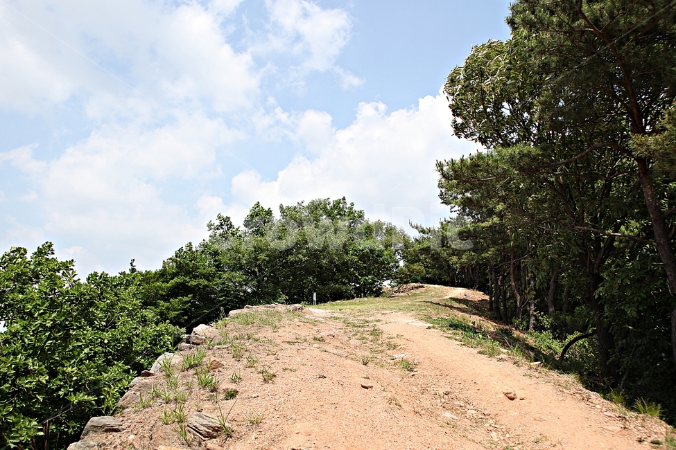 전등사,성곽,돌담,길,전등사둘레길,풍경