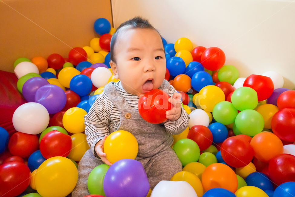 볼풀,아기,베이비카페,남자아이,애기,형형색색,컬러풀,고무공,공,무지개,색색의,볼풀공,플라스틱,플라스틱공,놀이기구,볼풀수영장,색깔,색상,아기장난감,재미있는,남자아기,어린,즐거운,신나는,귀여운,육아,가족,인물,한명,빨강,녹색,노랑,파랑,보라,볼풀장,키즈카페,놀이,사람,인물,인간,human,person,영유아,아기,애기,아이,infants,baby