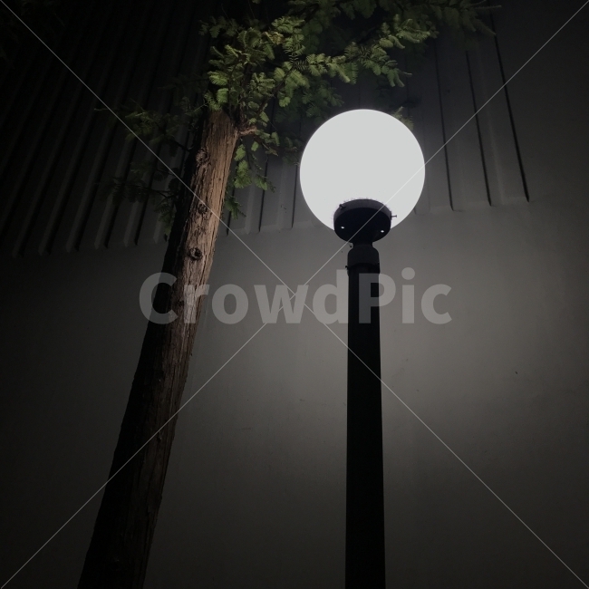 감성,빛,분위기,일상,자연,야경,밤,풍경,nightscape,night,landscape,감성,sensible,feeling,lamp,램프,nature,outdoors,옥외,lighting,조명